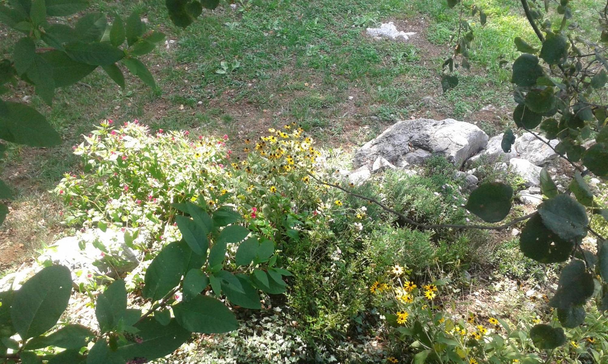 Guest House Rabenseifner - Opatija Jurdani Buitenkant foto